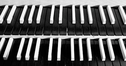 Keine Berührungsängste! 